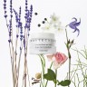 Chantecaille Retinol Korperbehandlung Уход за телом с ретинолом