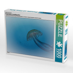 CALVENDO Puzzle CALVENDO Puzzle Faszination Leuchtquallen Пазл CALVENDO Puzzle Очарование светящихся медуз