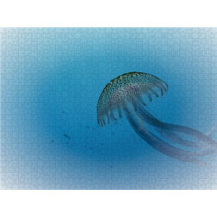 CALVENDO Puzzle CALVENDO Puzzle Faszination Leuchtquallen Пазл CALVENDO Puzzle Очарование светящихся медуз