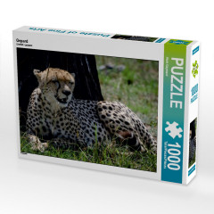 CALVENDO Puzzle CALVENDO Puzzle Gepard Пазл CALVENDO Пазл гепард