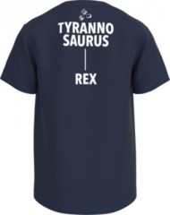 LEGO T-Shirt fur Jungen Футболка для мальчиков