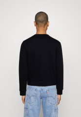 Tommy Hilfiger SHADOW UNISEX Sweatshirt desert sky SHADOW UNISEX Толстовка небо пустыни