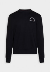 Tommy Hilfiger SHADOW UNISEX Sweatshirt desert sky SHADOW UNISEX Толстовка небо пустыни