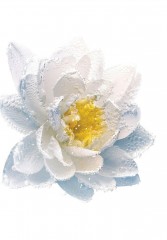 DIOR LE LAIT DEMAQUILLANT REINIGUNGSMILCH Make-up-Entferner transparent LE LAIT DEMAQUILLANT ОЧИЩАЮЩЕЕ МОЛОЧКО средство для снятия макияжа