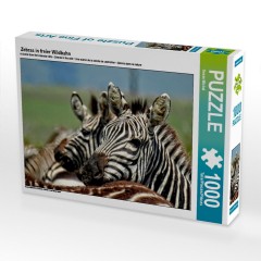CALVENDO Puzzle CALVENDO Puzzle Zebras in freier Wildbahn Пазл CALVENDO Puzzle Зебры в дикой природе