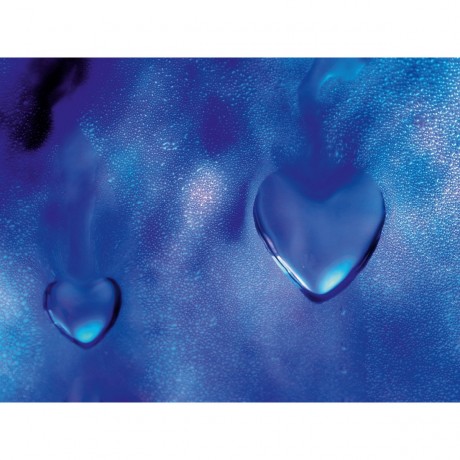 CALVENDO Puzzle CALVENDO Puzzle Die grosse Liebe Пазл CALVENDO Puzzle Великая любовь