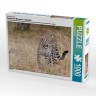 CALVENDO Puzzle CALVENDO Puzzle Emotionale Momente: Leoparden Пазл CALVENDO Puzzle Эмоциональные моменты: леопарды