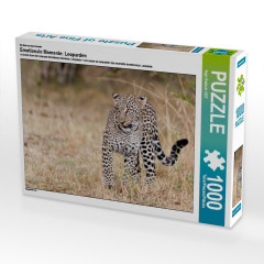 CALVENDO Puzzle CALVENDO Puzzle Emotionale Momente: Leoparden Пазл CALVENDO Puzzle Эмоциональные моменты: леопарды
