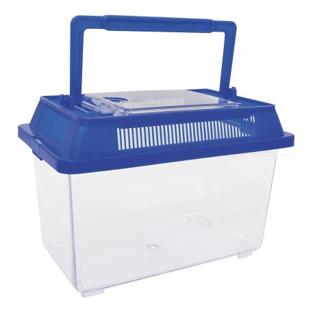 Eduplay Insekten-Beobachter Наблюдатель за насекомыми