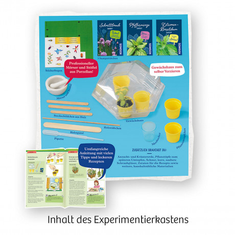 Kosmos Krautergarten Травяной сад