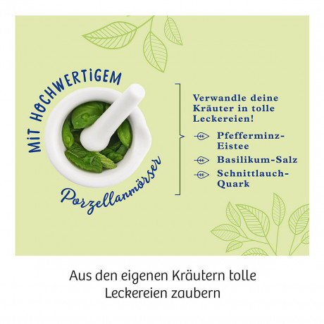 Kosmos Krautergarten Травяной сад