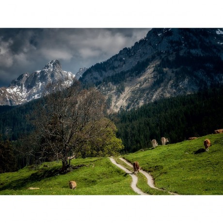 CALVENDO Puzzle CALVENDO Puzzle In den Alpen Пазл CALVENDO Puzzle В Альпах