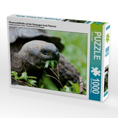 CALVENDO Puzzle CALVENDO Puzzle Riesenschildkrote auf der Galapagos Insel Floreana Пазл CALVENDO Puzzle Гигантская черепаха на галапагосском острове Флореана