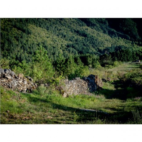 CALVENDO Puzzle CALVENDO Puzzle Strassen der Cevennen Пазл CALVENDO Пазл улочки Севенны