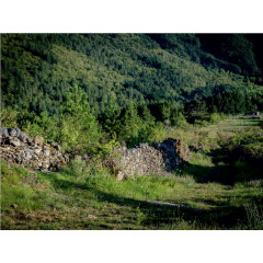 CALVENDO Puzzle CALVENDO Puzzle Strassen der Cevennen Пазл CALVENDO Пазл улочки Севенны