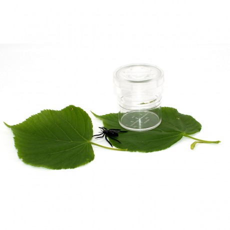 Edu-Toys Grosses Insektenforscher- und Naturbeobachtungs-Set Большой исследователь насекомых и набор для наблюдения за природой