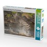 CALVENDO Puzzle CALVENDO Puzzle Das Zebra rettet sich nach einer Krokodilattacke Пазл CALVENDO Puzzle Зебра спасается после нападения крокодила