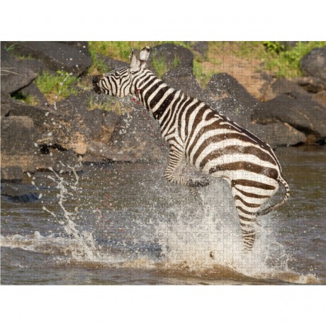 CALVENDO Puzzle CALVENDO Puzzle Das Zebra rettet sich nach einer Krokodilattacke Пазл CALVENDO Puzzle Зебра спасается после нападения крокодила