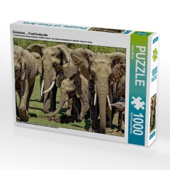 CALVENDO Puzzle CALVENDO Puzzle Elefanten.....Familienbande Пазл CALVENDO Puzzle Слоны.....семейные узы
