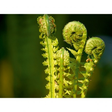 CALVENDO Puzzle CALVENDO Puzzle Hin zum Licht Пазл CALVENDO Puzzle Навстречу свету