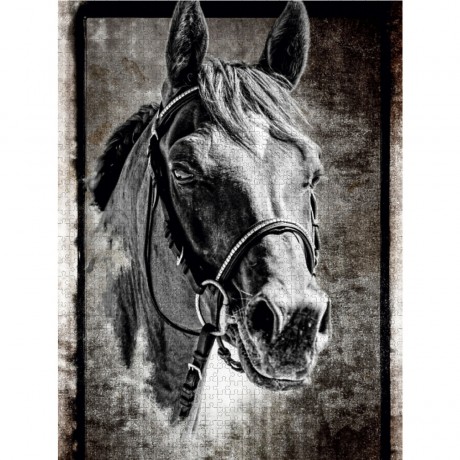 CALVENDO Puzzle CALVENDO Puzzle Arabisches Pferd Пазл CALVENDO Пазл Арабская лошадь