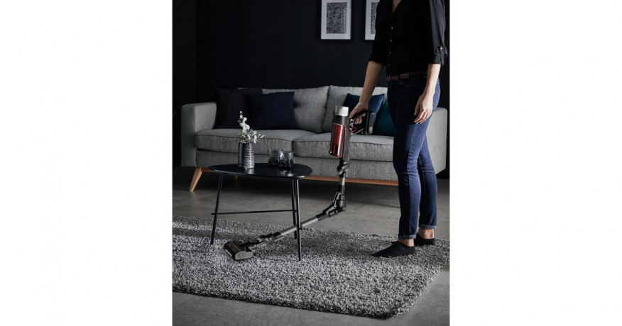 Rowenta Rowenta X-Force Flex 9.60 Animal RH2078, Stielstaubsauger schwarz/rot schwarz/rot Rowenta X-Force Flex 9.60 Animal RH2078, пылесос черный/красный