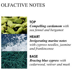 Molton Brown Coastal Cypress &amp; Sea Fennel Hand Sanitiser Gel  Дезинфицирующий гель для рук «Прибрежный кипарис и морской фенхель»