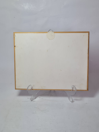 Панно декоративное винтажное из пробкового дерева "Сардиния", объемное, под стеклом, в раме, Италия, 2000-2010гг.