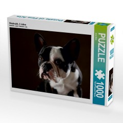 CALVENDO Puzzle CALVENDO Puzzle Shahrukh Пазл CALVENDO Пазл Шахрукх