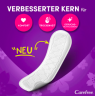 Carefree Slipeinlage Plus Long mit Frischeduft, 40 St, Карефри Прокладки ежедневные удлиненные Плюс с ароматом, 40 шт, 3 упаковки (120 шт)