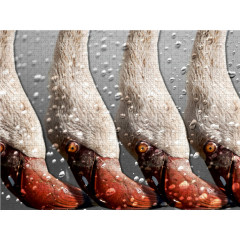 CALVENDO Puzzle CALVENDO Puzzle Emotionale Momente: African Dreams Пазл CALVENDO Puzzle Emotional Moments: African Dreams