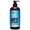 Mistik Antioxidant Normal Hair Shampoo – Blueberry  Антиоксидантный шампунь для нормальных волос Черника