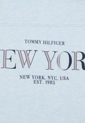 Tommy Hilfiger NYC ROUNDALL HOODIE Sweatshirt breezy blue heather NYC ROUNDALL HOODIE Толстовка свежий голубой вереск