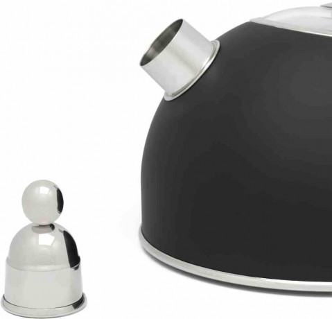 Bredemeijer Bredemeijer Wasserkessel, Edelstahl (1-tlg), 2,5 Liter, Edelstahl Чайник Bredemeijer, нержавеющая сталь (1 шт.), 2,5 литра, нержавеющая сталь