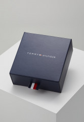Tommy Hilfiger CASUAL Necklace silver-coloured CASUAL Ожерелье серебристый