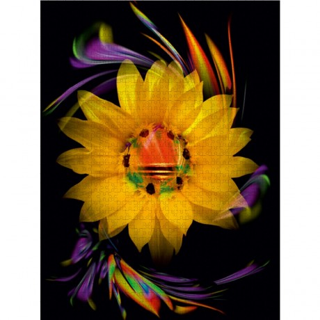 CALVENDO Puzzle CALVENDO Puzzle Romantic Blumentraume Пазл CALVENDO Puzzle Романтические цветочные мечты