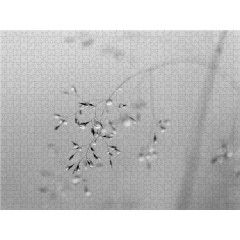 CALVENDO Puzzle CALVENDO Puzzle Emotionale Momente: Mein Trauerjahr Пазл CALVENDO Puzzle Эмоциональные моменты: Год моей скорби