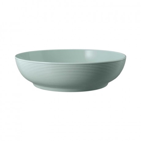 Seltmann Weiden Seltmann Weiden Beat Arktisblau Foodbowl Schale 25 cm Seltmann Weiden Миска для еды Beat Arctic Blue 25 см