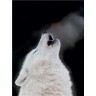 CALVENDO Puzzle CALVENDO Puzzle Emotionale Momente: Der Wolf. Пазл CALVENDO Пазл Эмоциональные моменты: Волк.