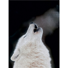 CALVENDO Puzzle CALVENDO Puzzle Emotionale Momente: Der Wolf. Пазл CALVENDO Пазл Эмоциональные моменты: Волк.
