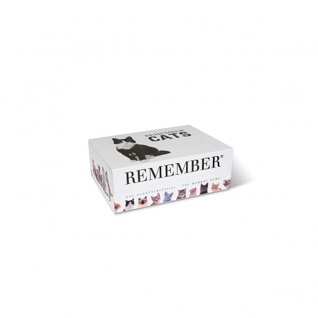 Remember Gedachtnisspiel  44 Cats in der Magnetbox