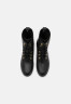 Tommy Hilfiger MONOGRAM BOOT Lace-up ankle boots black MONOGRAM BOOT Ботильоны на шнуровке черный
