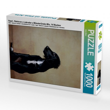 CALVENDO Puzzle CALVENDO Puzzle Hazel Пазл CALVENDO Пазл Хейзел