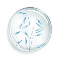 Annayake Exfoliant douceur pour le corps 24H Отшелушивающий душ для тела 24 часа