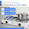 ZMC ZMC Gaskocher Tragbarer Gaskocher Campingkocher 2-flammig inkl. Schlauch und Regler, 2,2 kW 50 mBar Outdoor Gasherd Kochfeld Herd Propangas Tischkocher  Газовая плита ZMC, переносная газовая плита, походная плита, 2 пламени, включая шланг и регулятор,