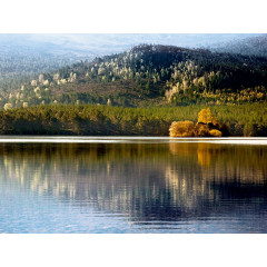 CALVENDO Puzzle CALVENDO Puzzle Loch an Eilean Пазл CALVENDO Puzzle Hole on Eilean