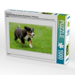 CALVENDO Puzzle CALVENDO Puzzle Emotionale Momente: Berner Sennenhund. \/ CH-Version Пазл CALVENDO Пазл Эмоциональные моменты: Бернский зенненхунд. \/ версия CH