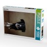 CALVENDO Puzzle CALVENDO Puzzle Jody Пазл CALVENDO Пазл Джоди