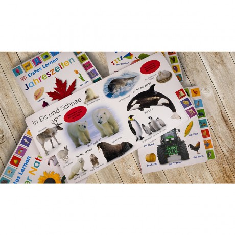 Dorling Kindersley Verlag Erstes Lernen. Tierkinder первое обучение. дети животных