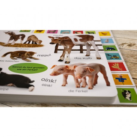 Dorling Kindersley Verlag Erstes Lernen. Tierkinder первое обучение. дети животных